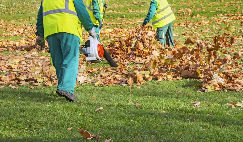 Professional Equipment for Leaf Clearing