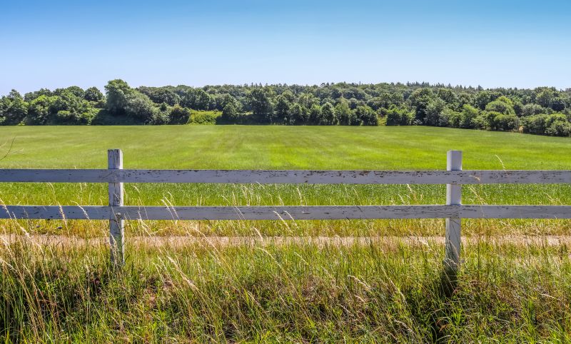 Fence Line Trimming