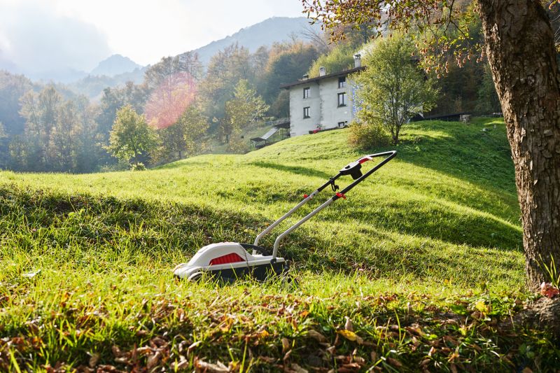 Weekly Lawn Care detail