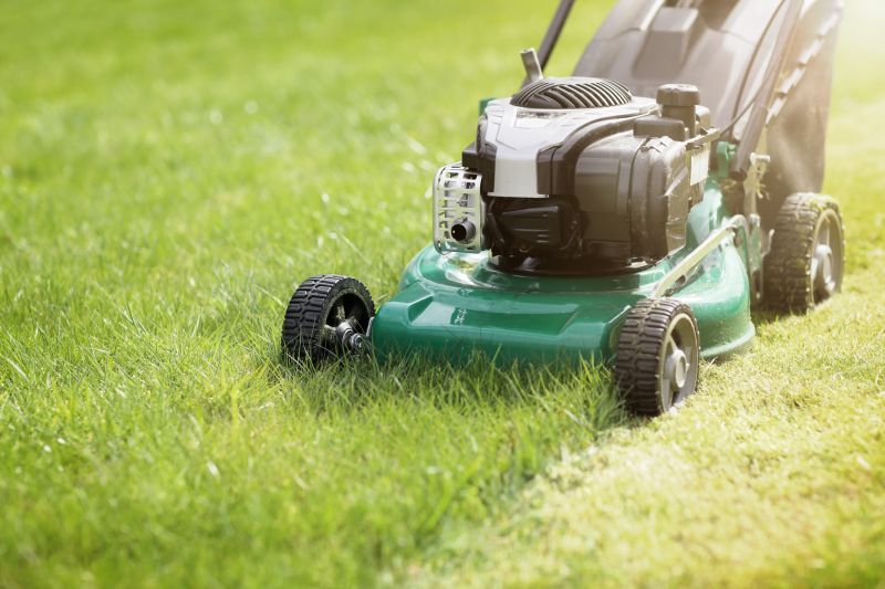 Yard Mowing detail