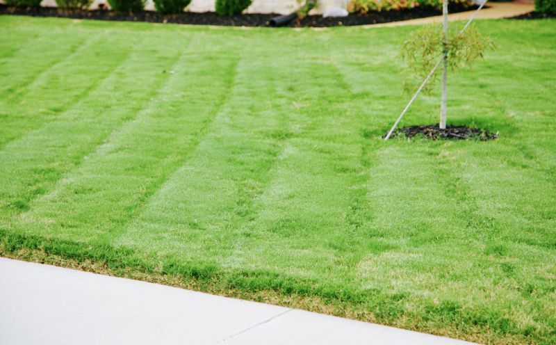 Lawn with Fresh Cut Grass