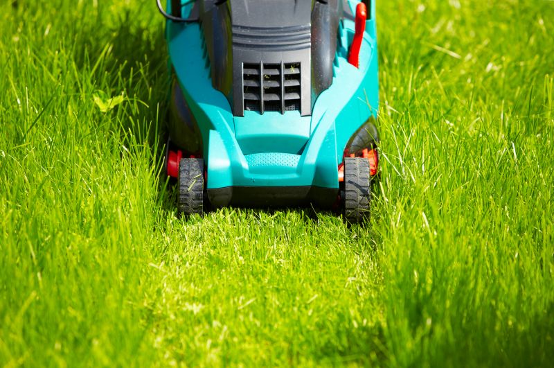 Mower Cutting Grass