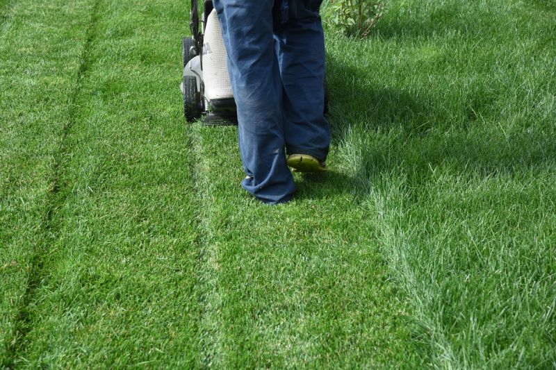 Lawn Service