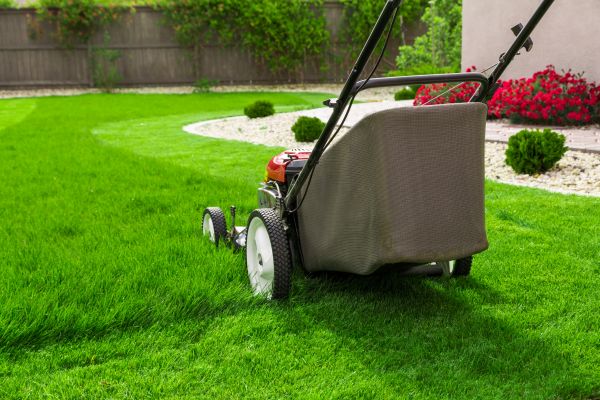 Cost of Grass Mowing in Destin