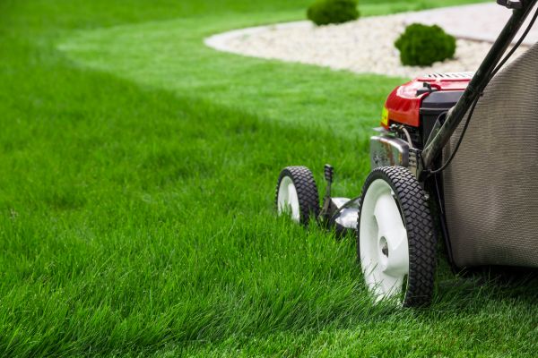 Cost of Mowing Service in Destin