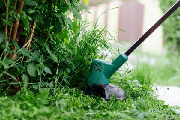 Cost of Weed Whacking in Destin