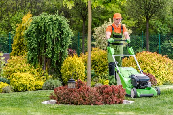 Cost of Yard Service in Destin