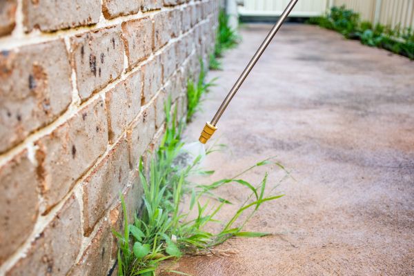 Weed Abatement