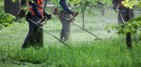 Weed Trimming