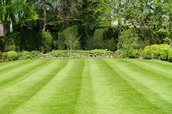 Cost of Grass Care Service in Destin