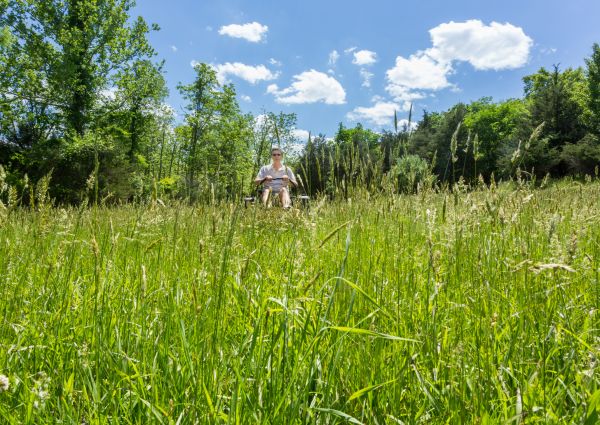 Cost of Long Grass Mowing in Destin