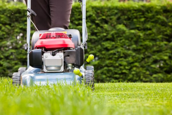 Cost of Grass Trimming Service in Destin
