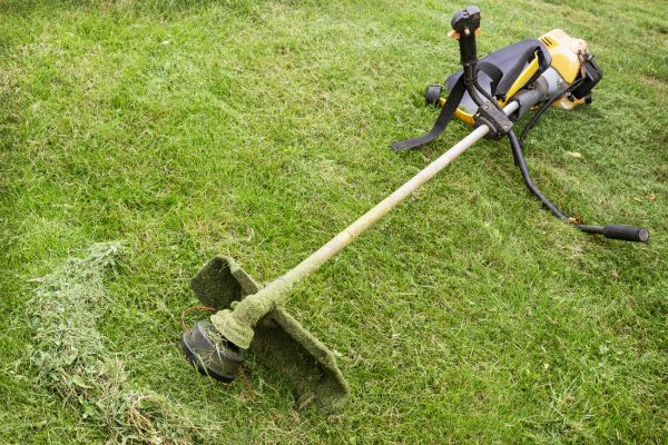 Cost of Hillside Weed Whacking in Destin