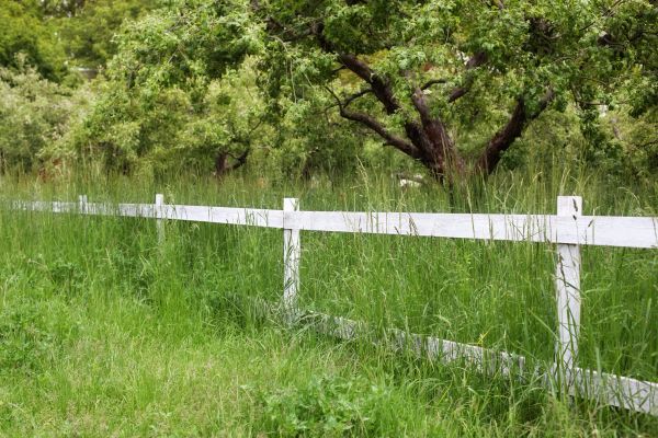 Cost of Fence Line Trimming in Destin