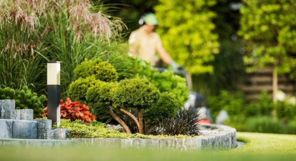 Residential Yard Maintenance