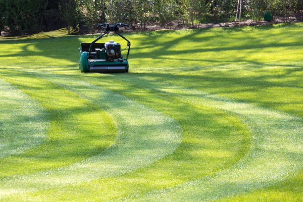 Cost of Business Lawn Mowing in Destin