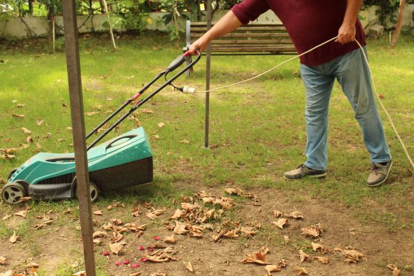 Cost of Leaves Mowing in Destin