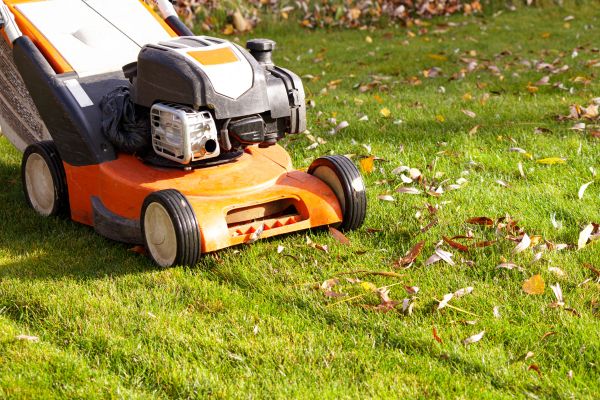 Cost of Fall Mowing in Destin