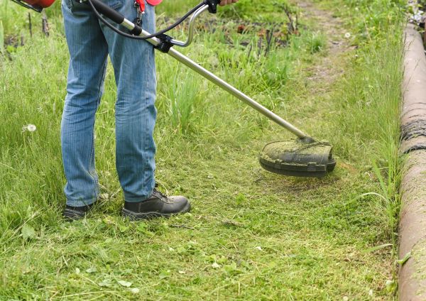 Cost of Tall Grass Trimming in Destin